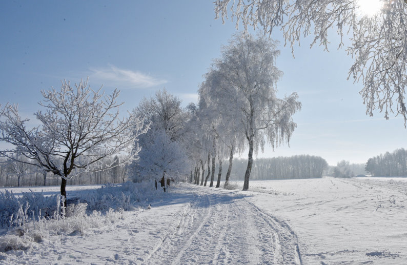 Winterlandschaft am Campingplatz